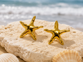 Costal seashell earrings