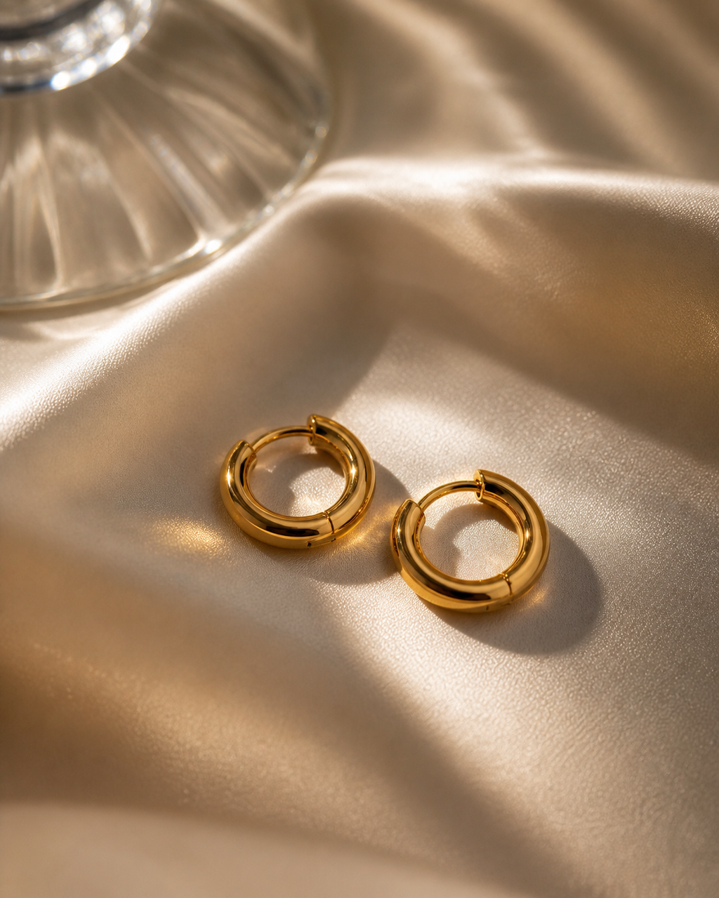 Hoop earrings (1 pair)