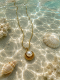 Pearl in shell necklace